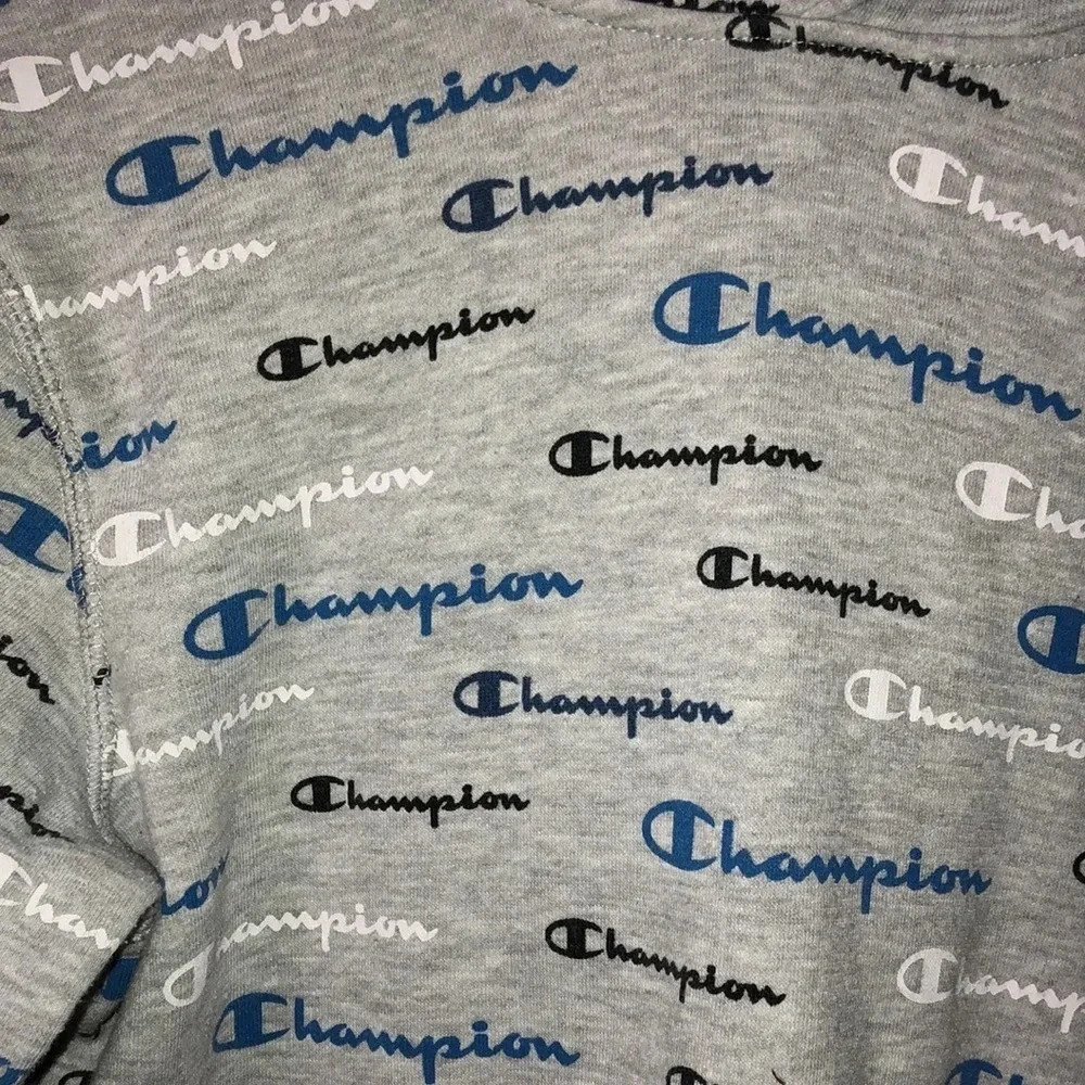 Champion - Picture 2 of 6